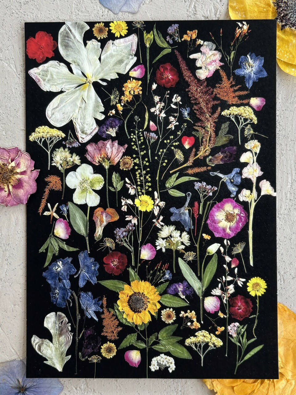 Black Multicoloured Giclee Print A5