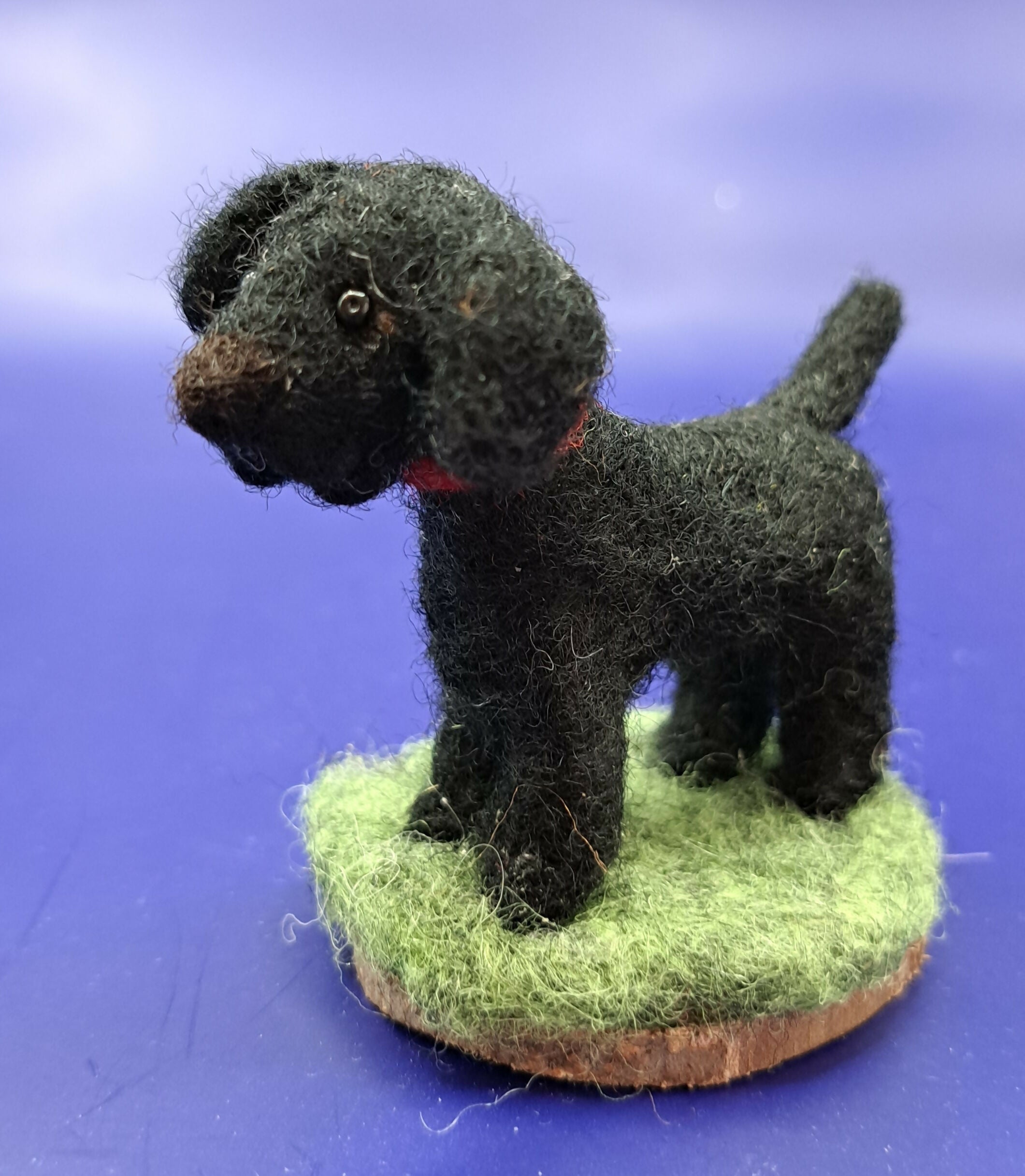 Dinky Dog Jet