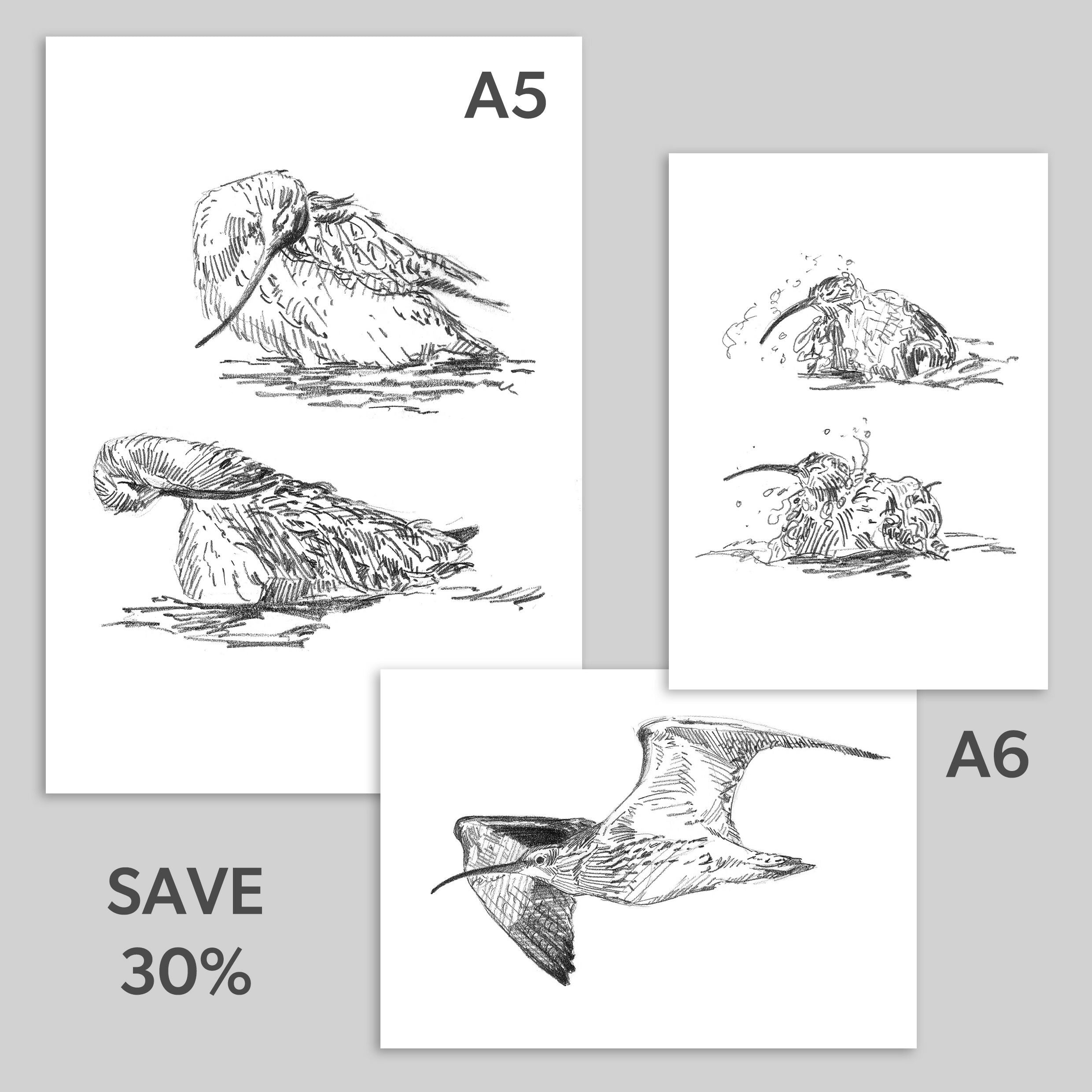 Pack of Curlew Prints - A5, two A6