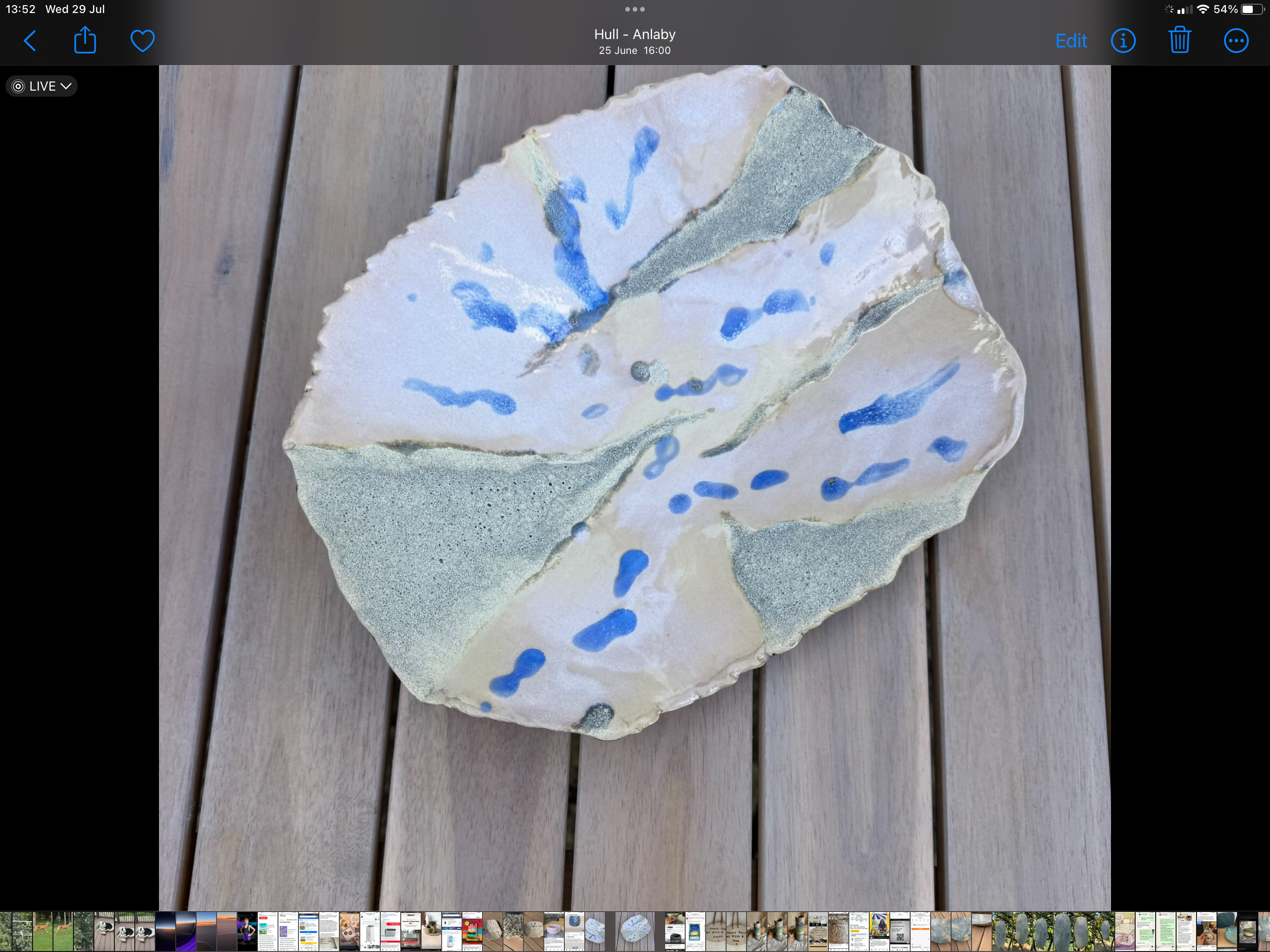 Coral Inspired Bowl