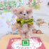 Brown Fluffy Teddy On Vintage Block Ornament