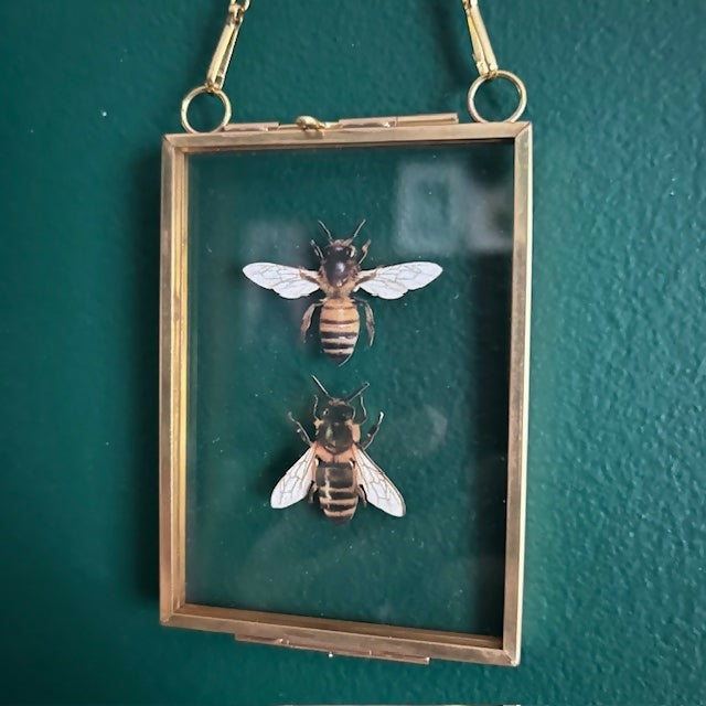 Two Lovey Faux Paper Bees In An Antique Inspired Frame