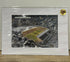 Headingley - The Home of Leeds Rhinos