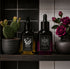 Wild Night Facial Oil