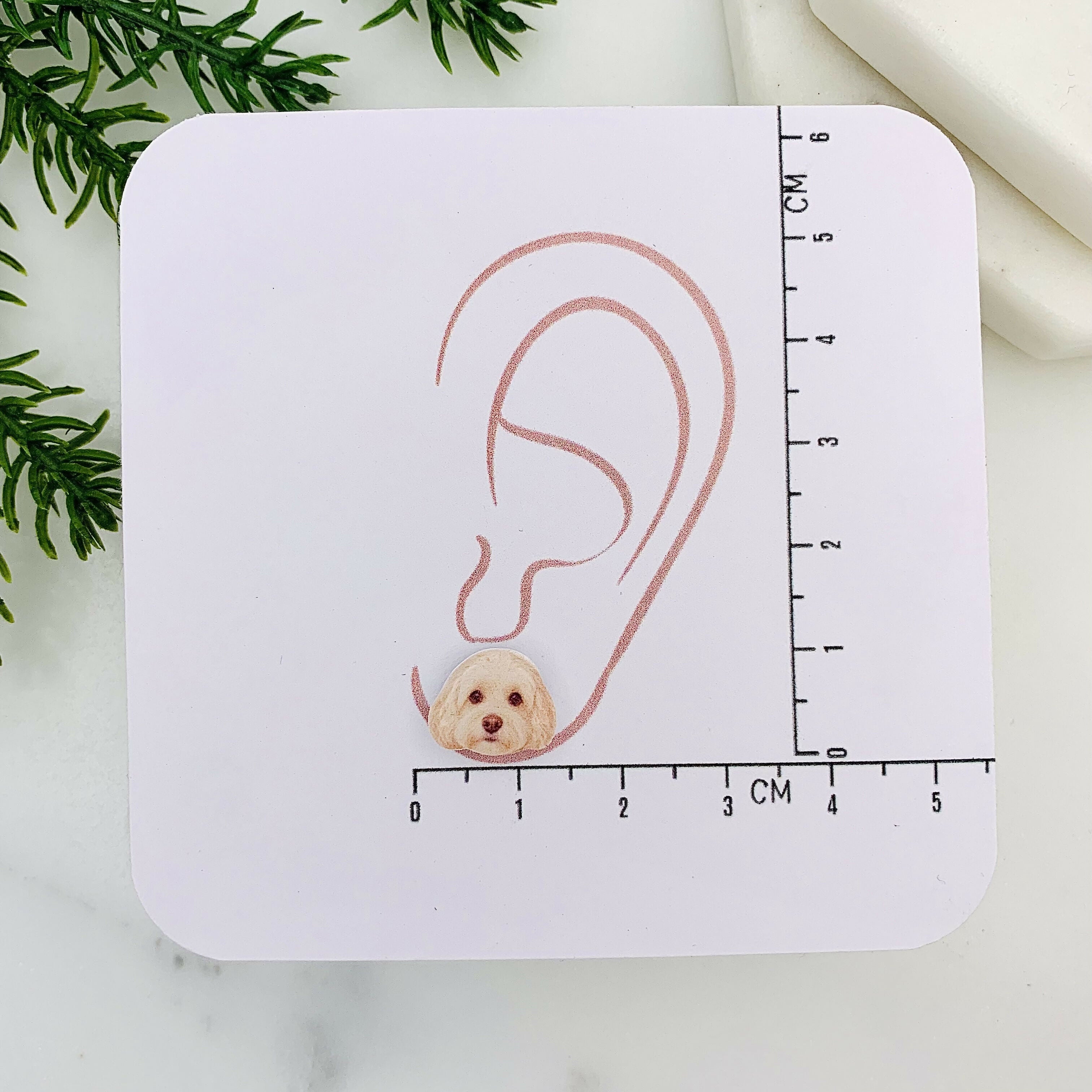 Blonde/Cream Cockapoo Stud Earring (2026)