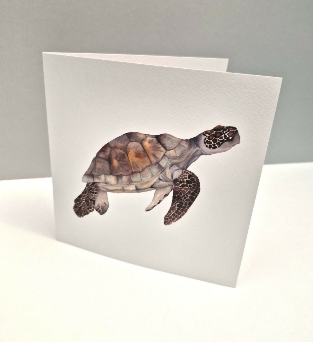 Turtle Greeting Card