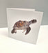 Turtle Greeting Card