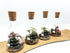 250ml Conical Flask Terrarium
