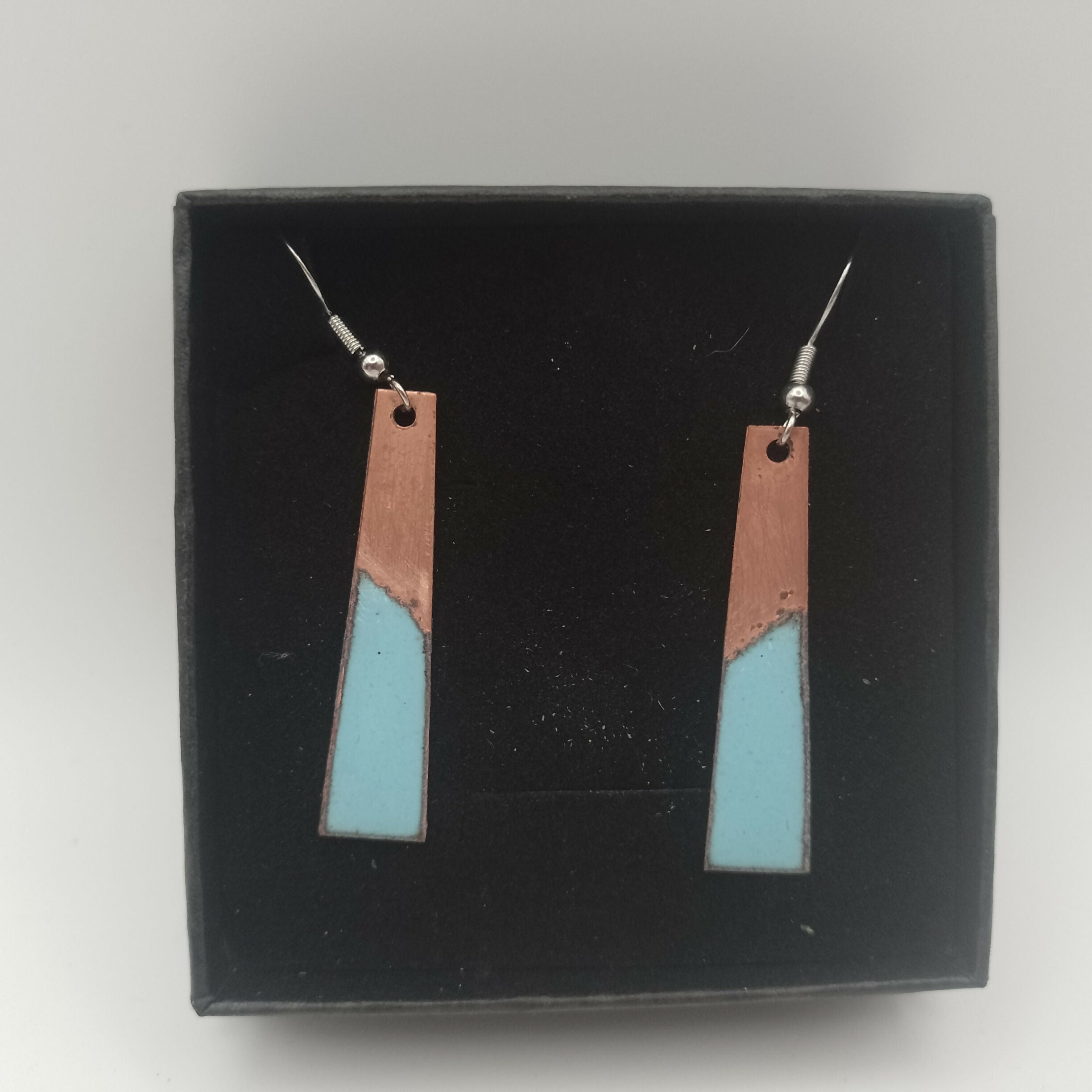 Powder Blue and Copper Enamel Earrings