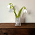 Snowdrop Vase