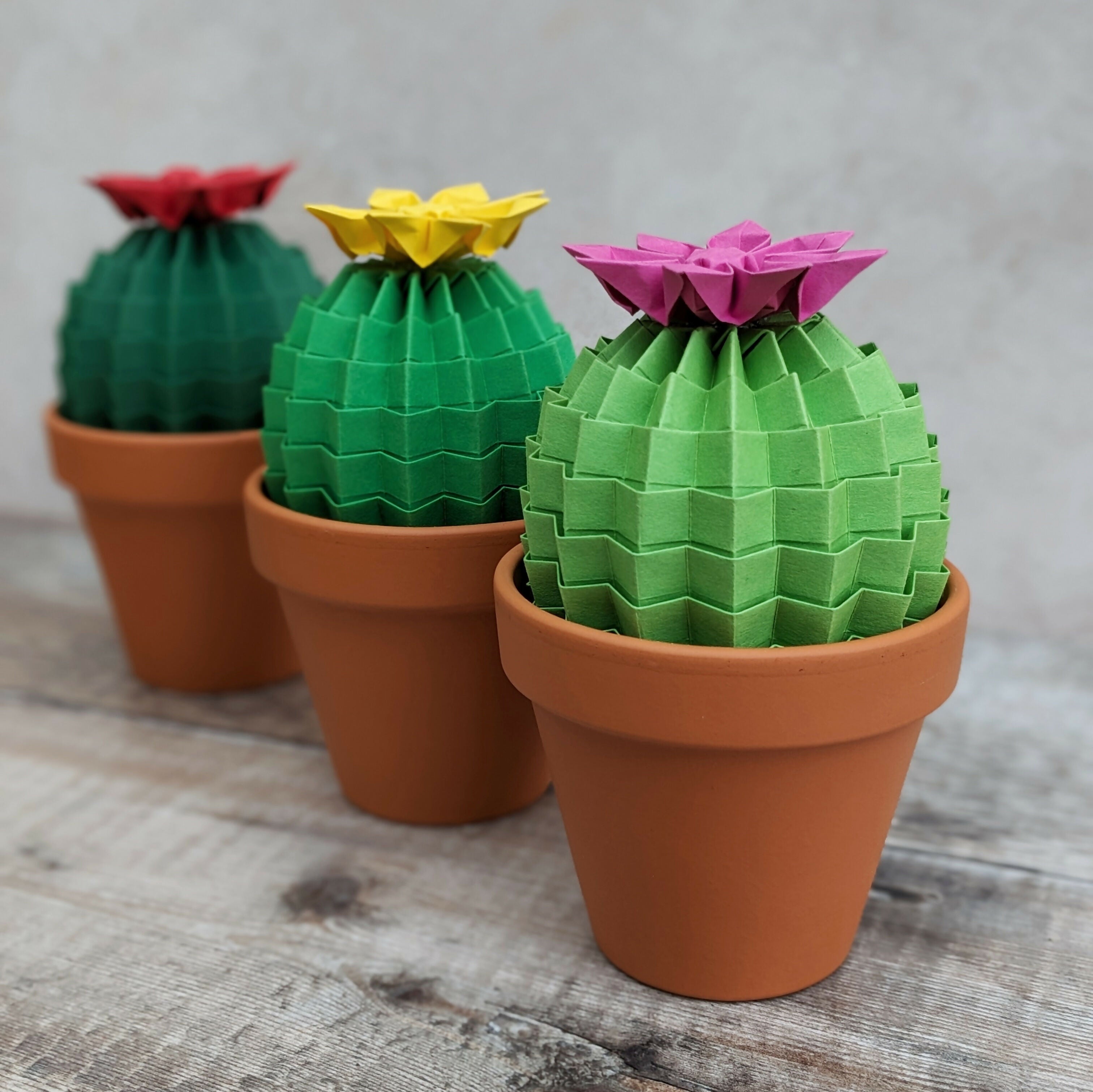 Origami Paper Cactus in Terracotta Pot