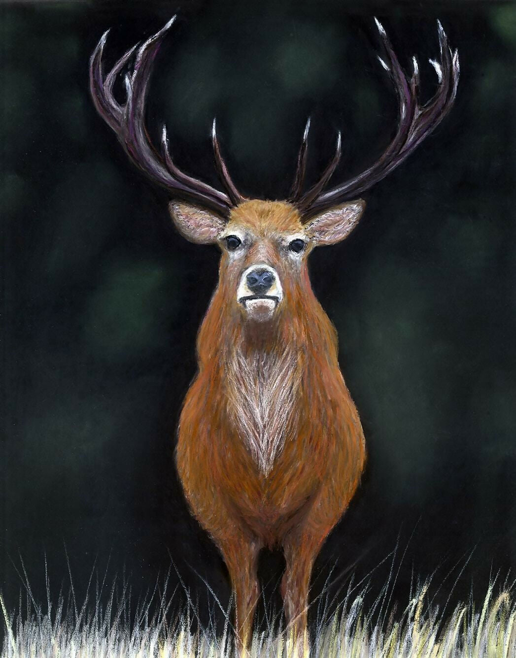 CUTE ANIMAL FRAMED PRINT 7x5in