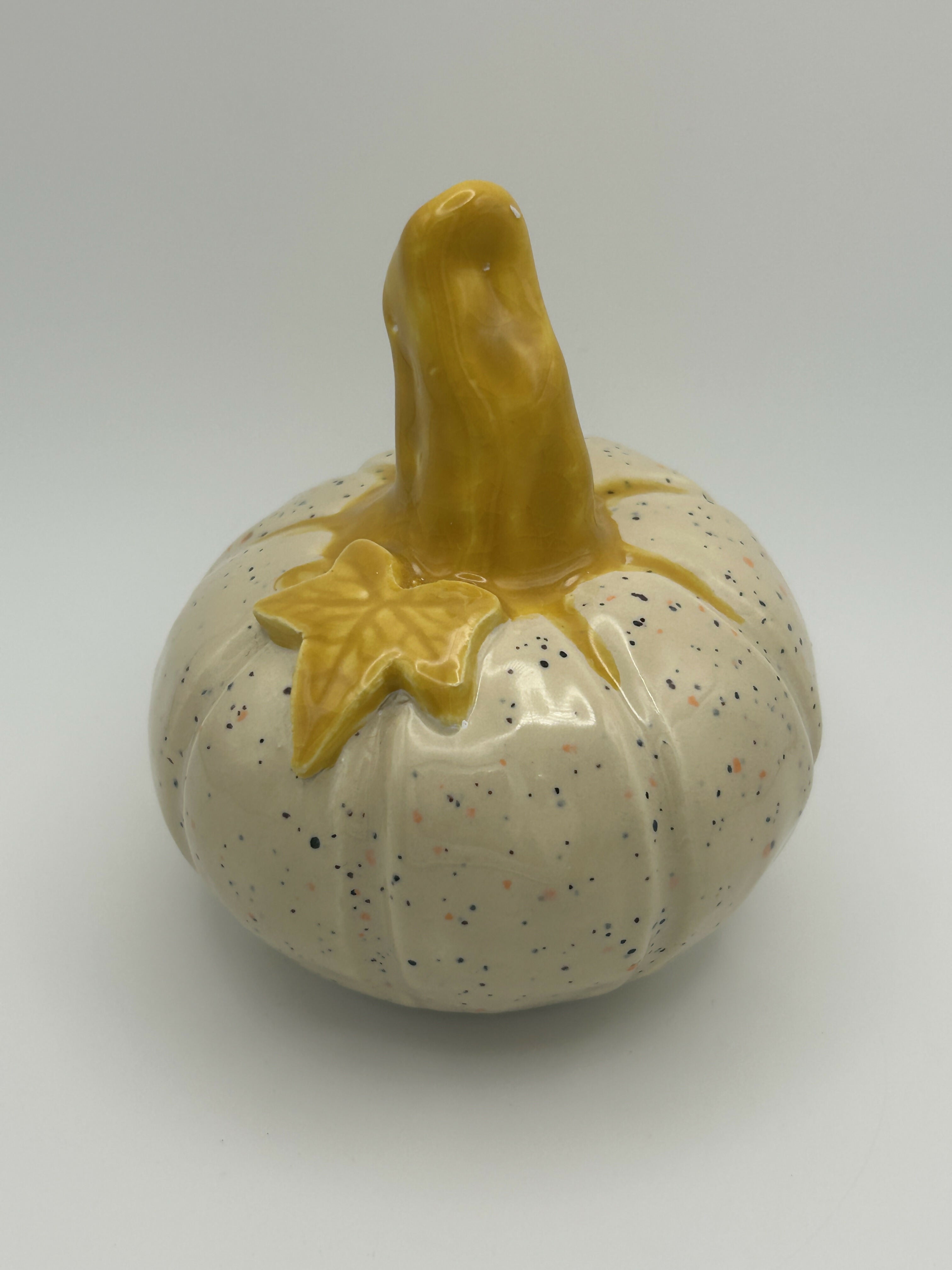 Small Speckled Pumpkin