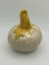 Small Speckled Pumpkin