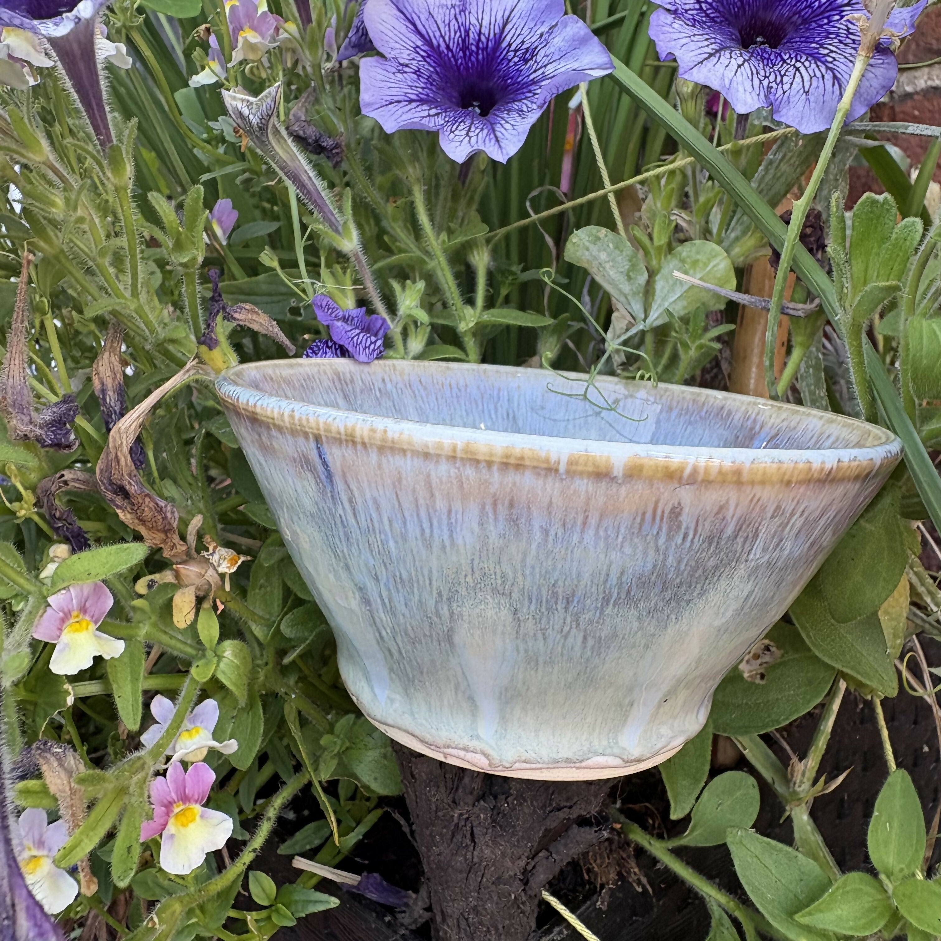 Sage Bowl