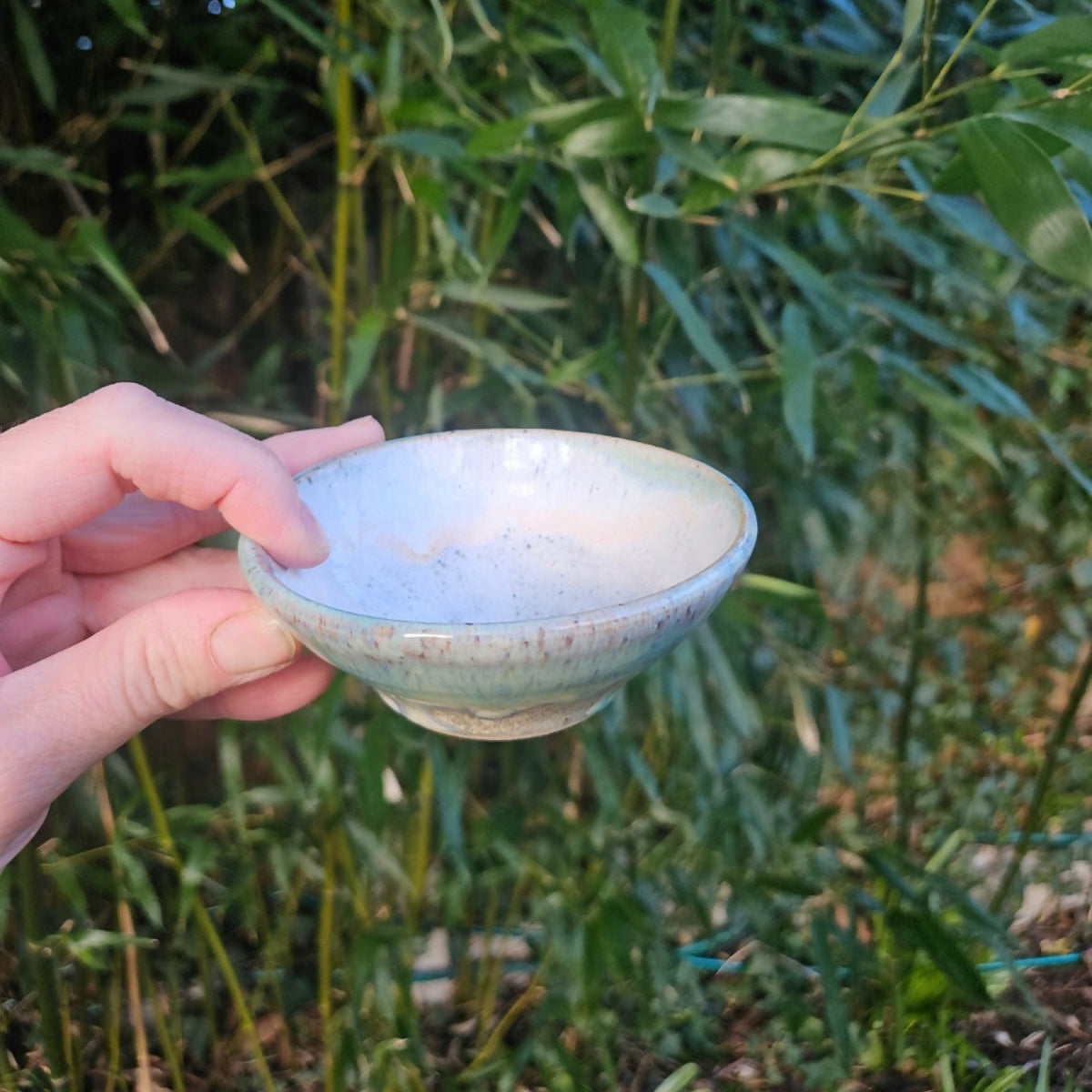 Small Dipping Dish