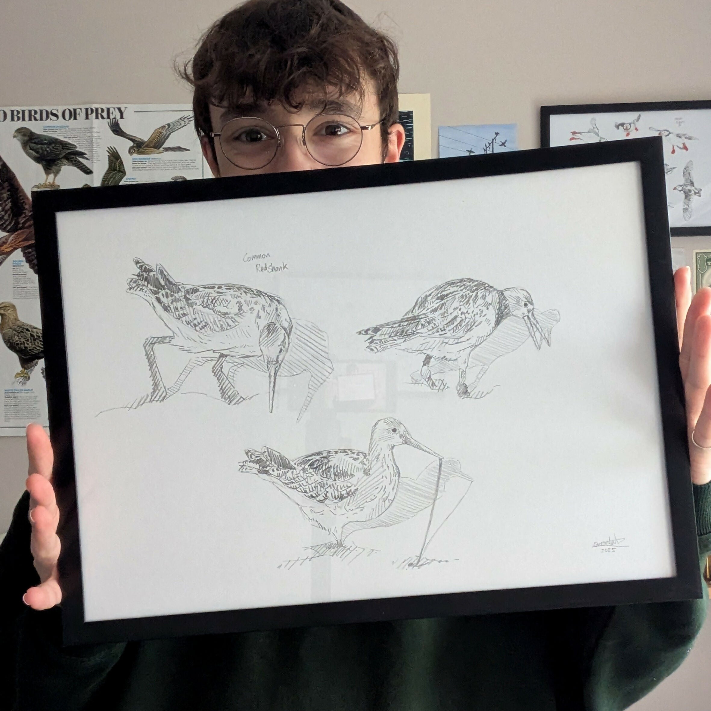 Redshank Sketches - A3 Original Framed