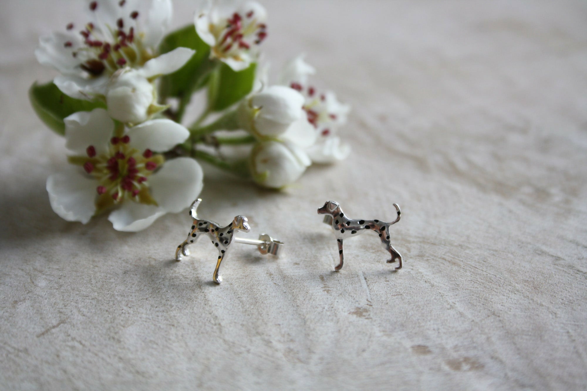Dalmatian Studs