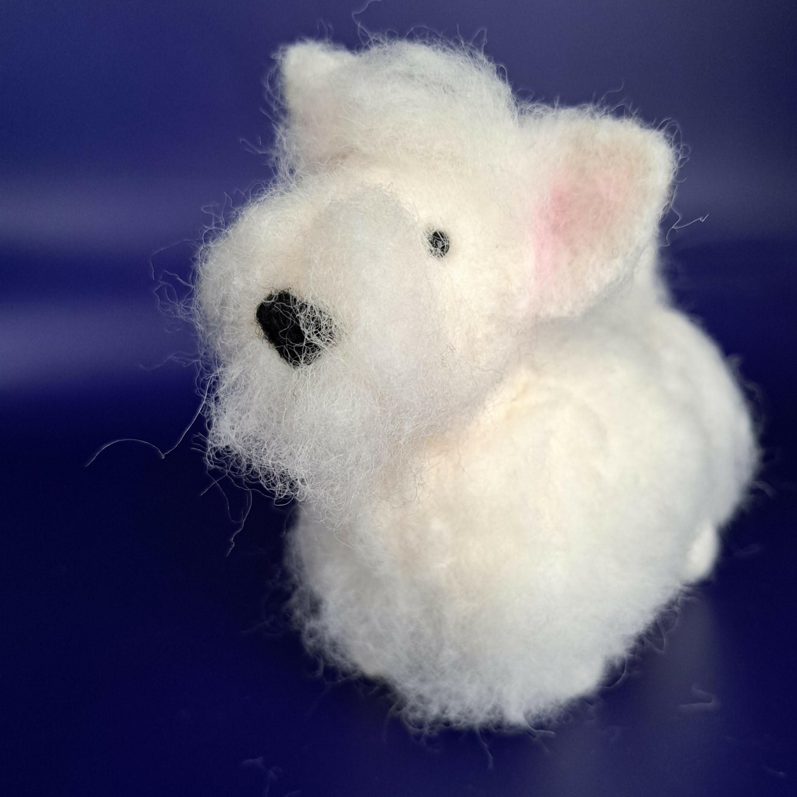 Westie Dog - Snowy