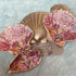 Handcrafted Peach Floral Oyster Shell | Unique Coastal Decor | Art & Soul

