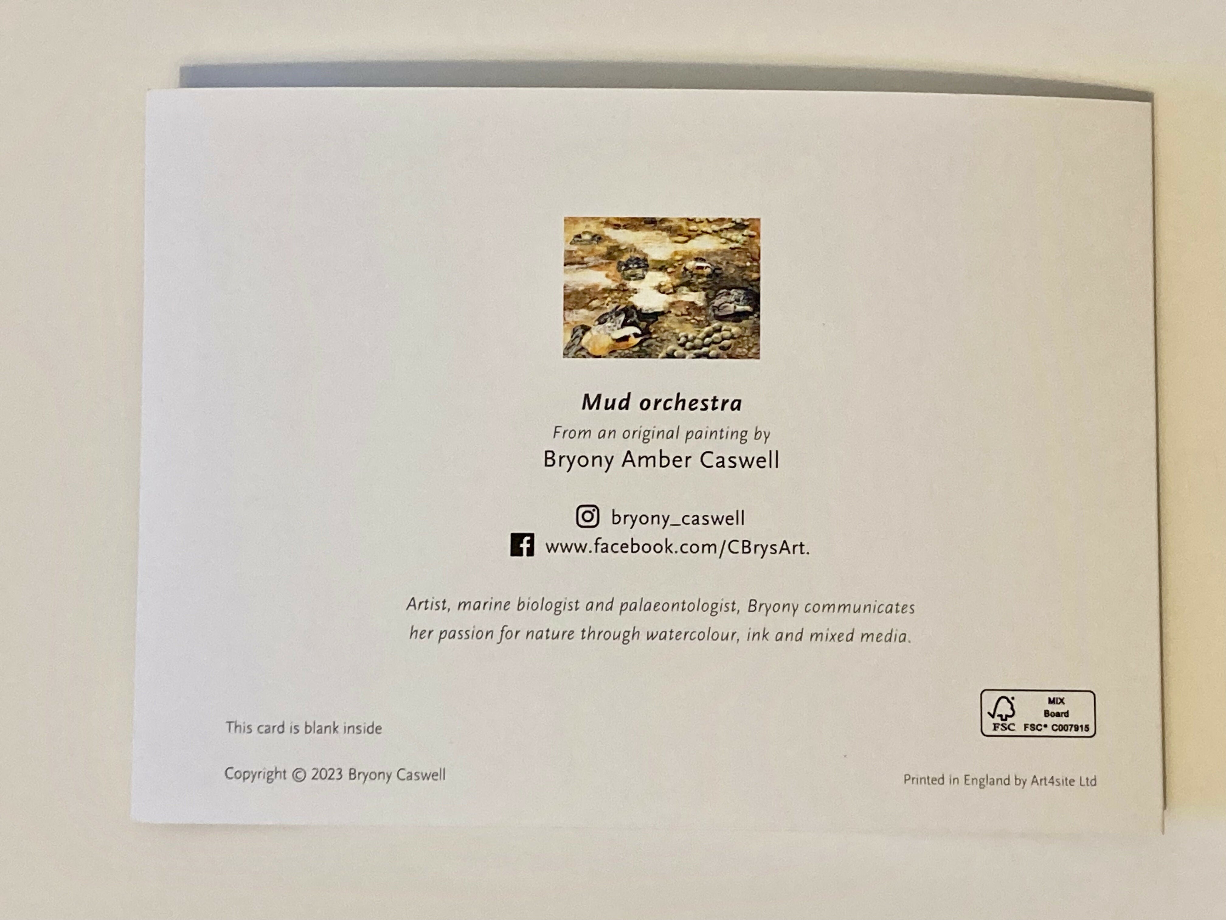 Mud Orchestra- Greetings Card