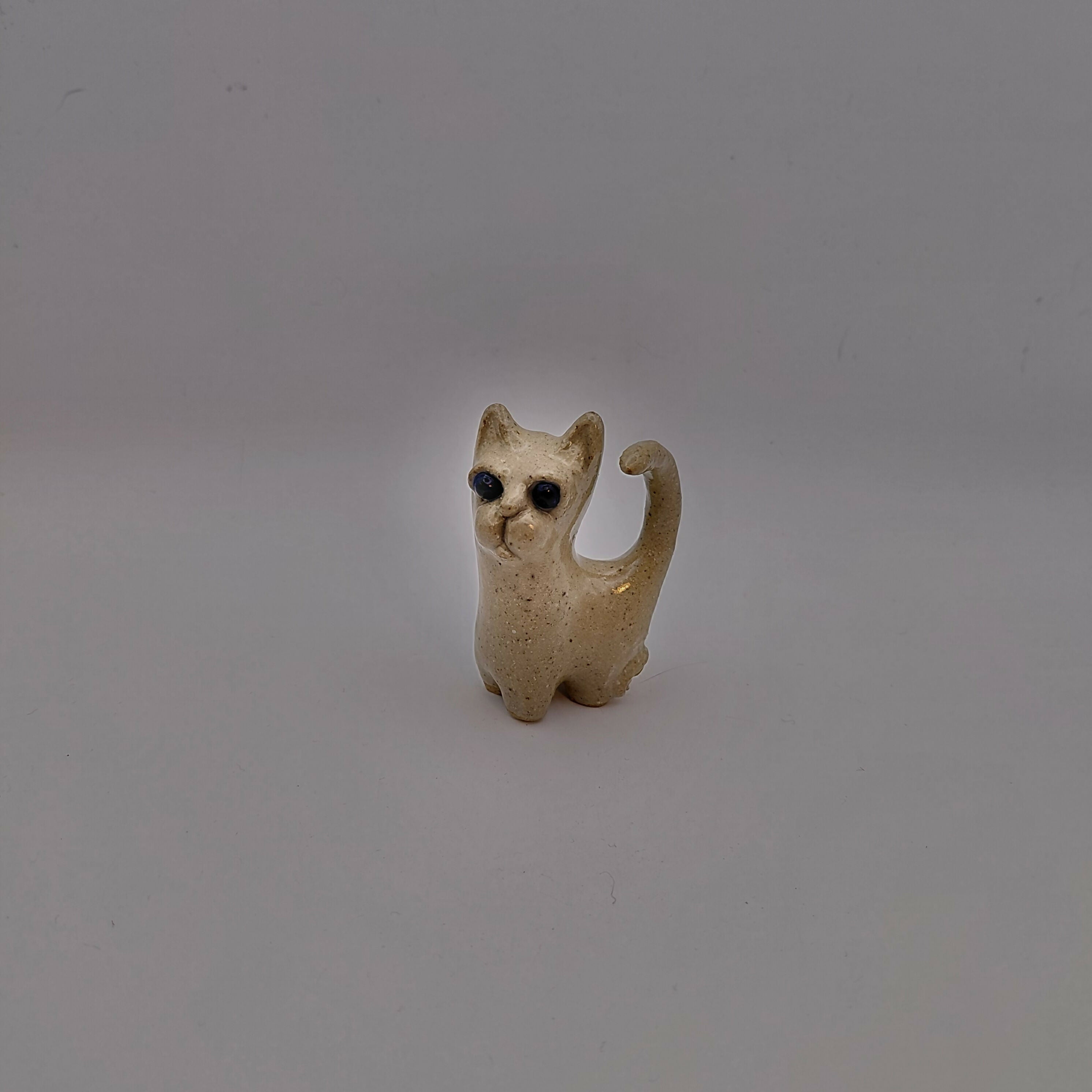 Biscuit Pebble Cat