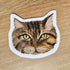 Cute Cat Face Vinyl Stickers