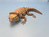 3D Printed LARGE: Articulated Sensory Fidget Animals friends Bearded Dragon 25cm