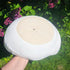 Large Fruit Bowl