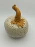 Speckled Pumpkin