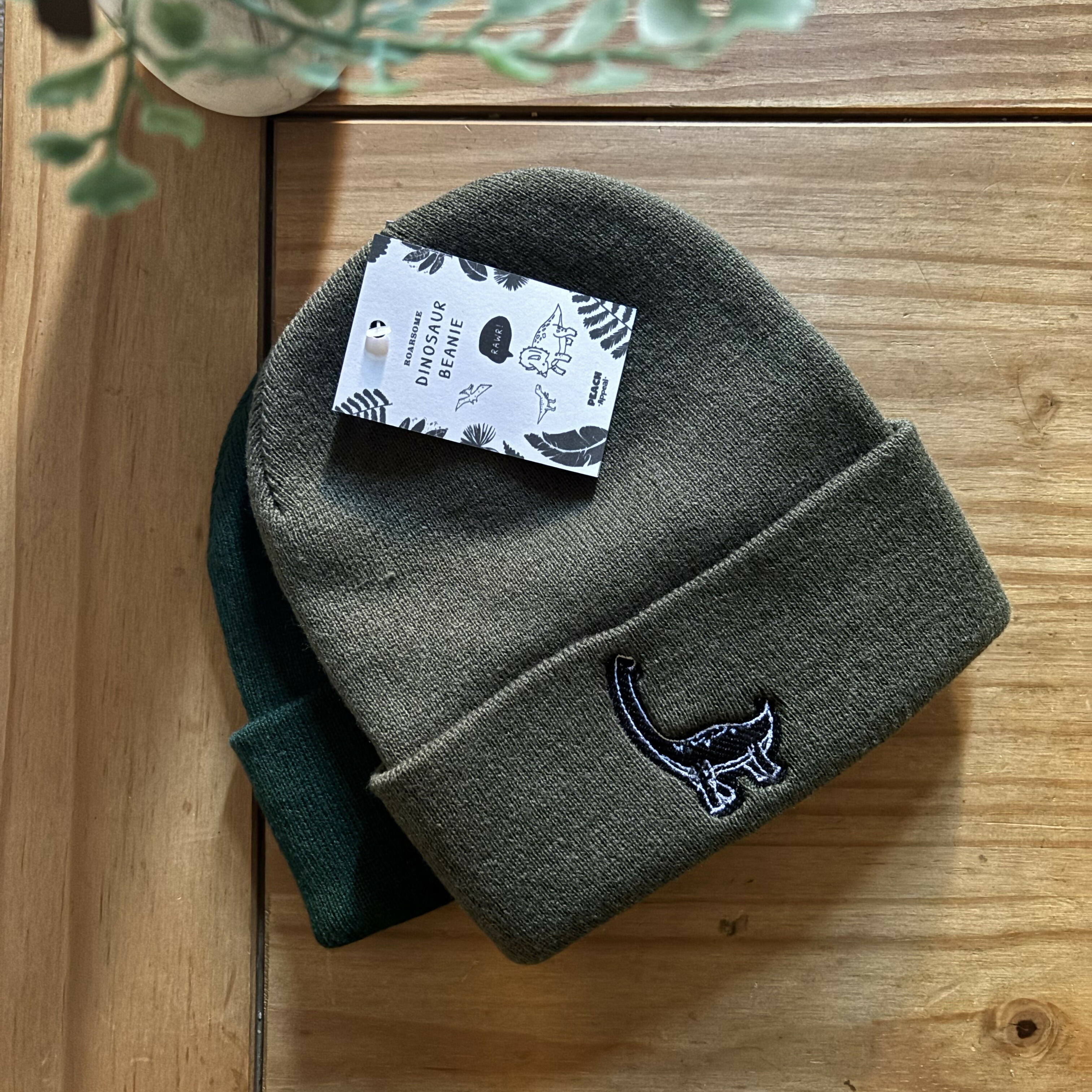 Dinosaur Embroidered Green Beanie Hat