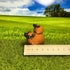 Cool Capybara Duo With Sunglasses
