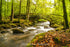 River Croe_Argyll_Forest_Bridge_River_Long Exposure.jpg