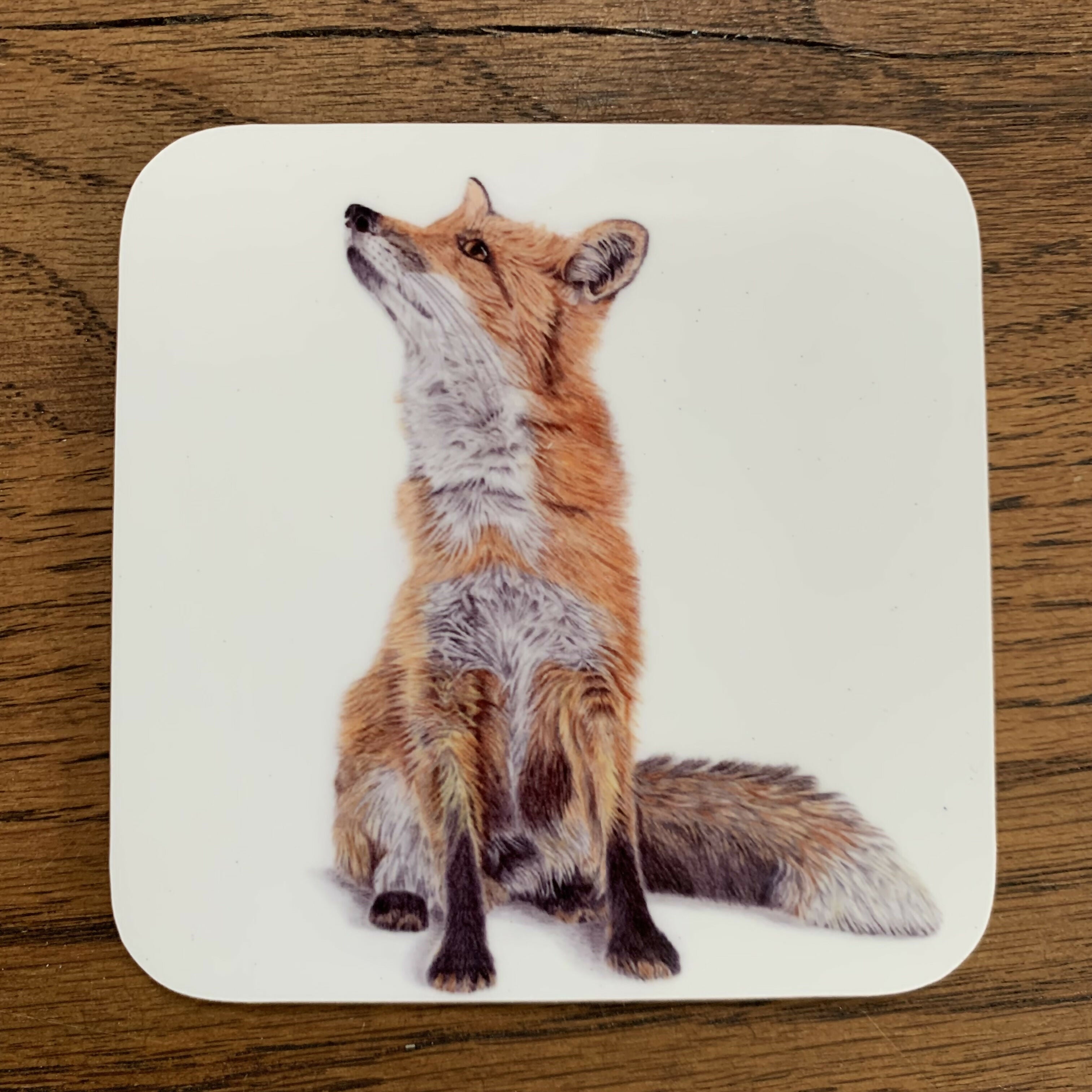 Hare Coaster