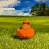 Halloween Capybara in Pumpkin