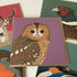 Tawny Owl Greetings Card