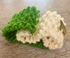 PET SCARF, STRETCHY, 2-COLOUR COSY (CREAM & GREEN)