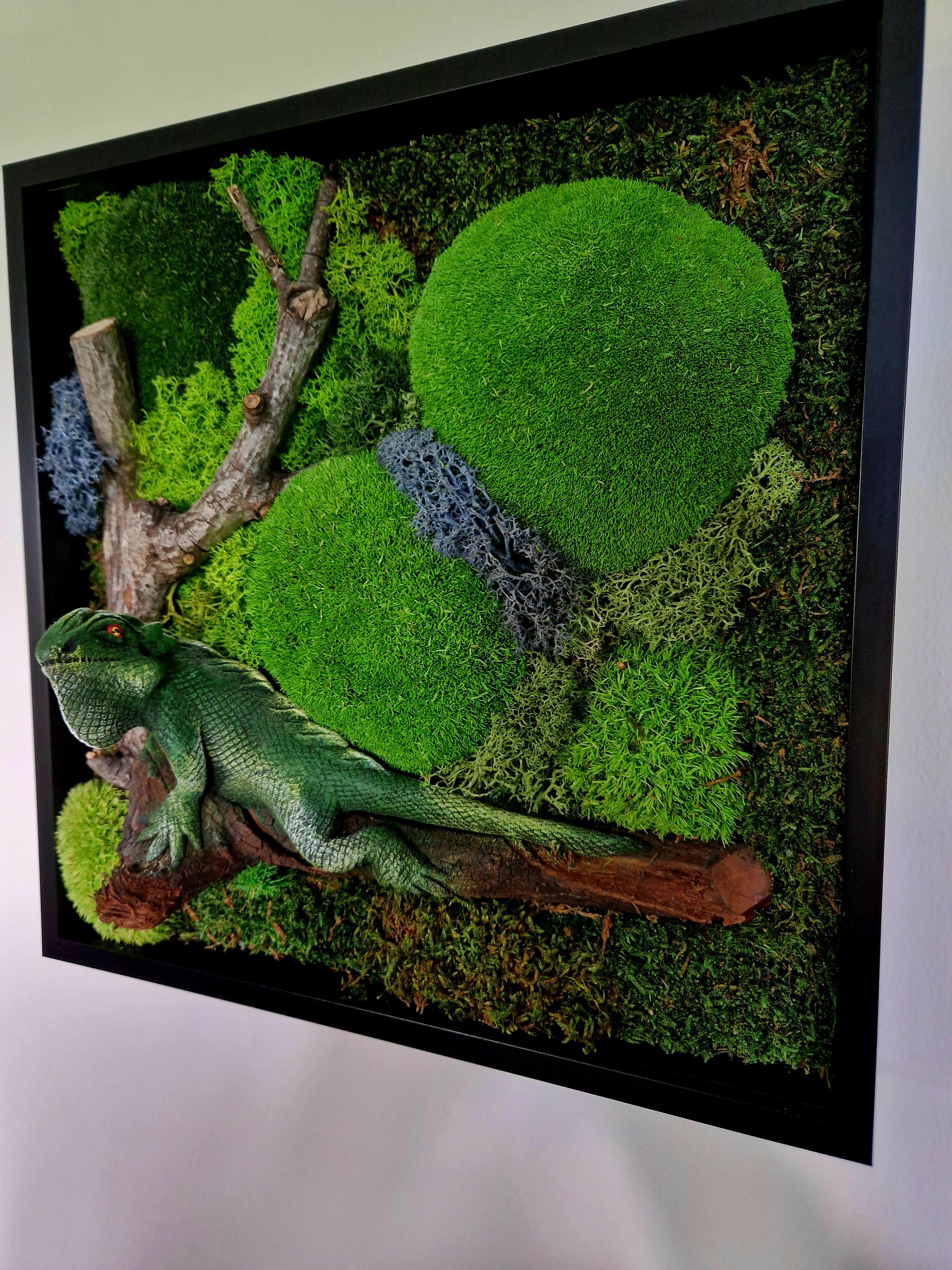 Lizard