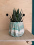 10cm Geometric Pot & Plant