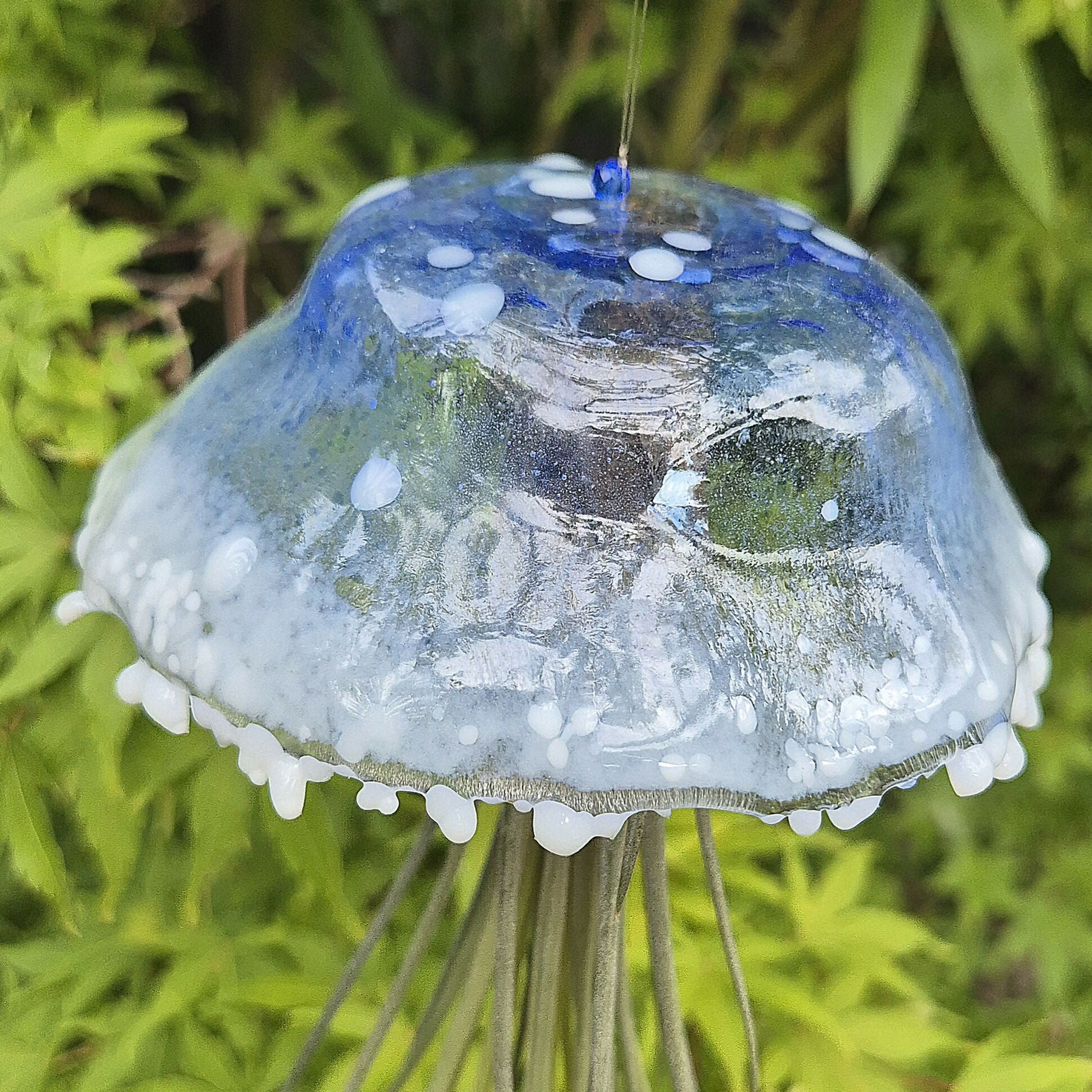 Norman the Jellyfish
