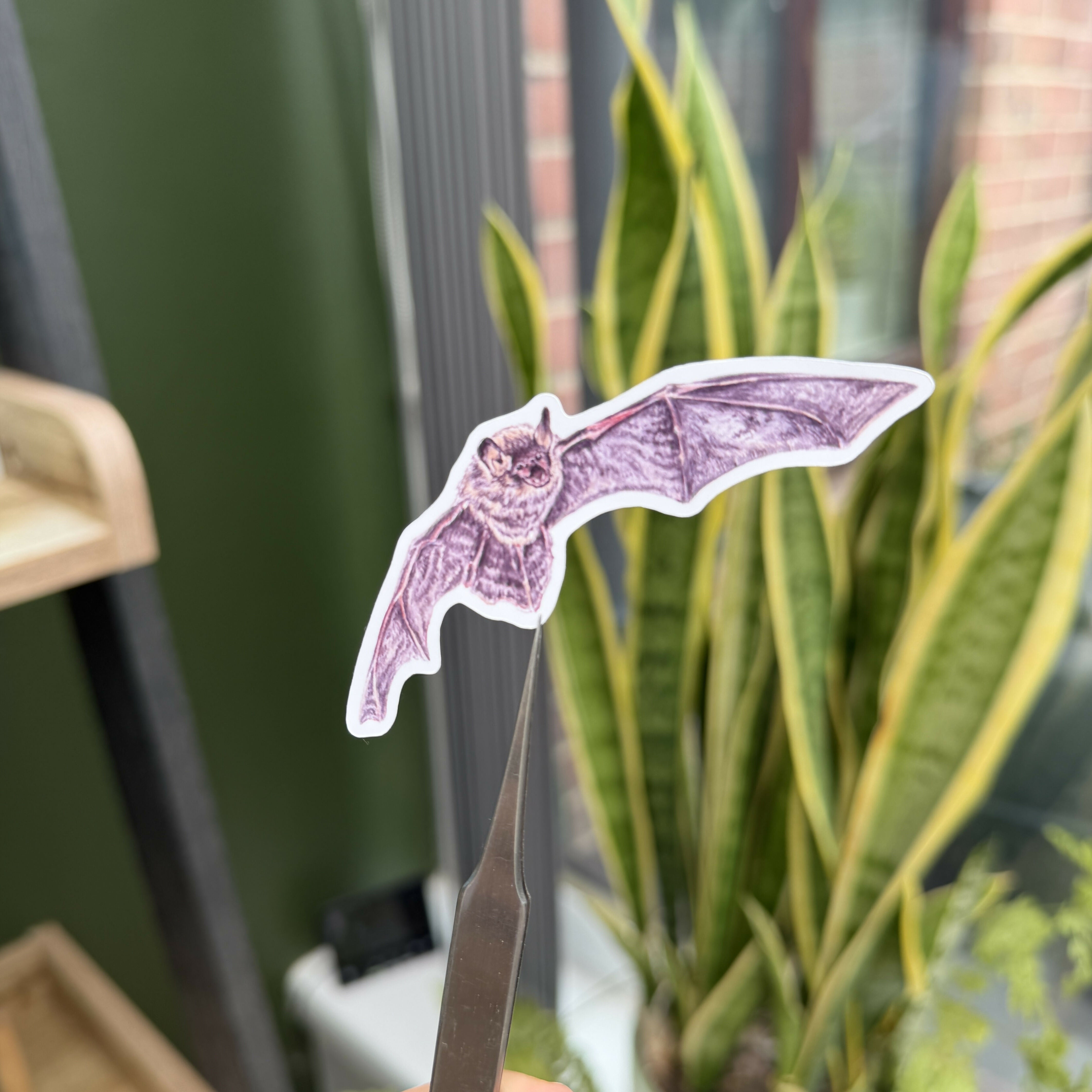 Bewitching Bats - Gloss Sticker Pack