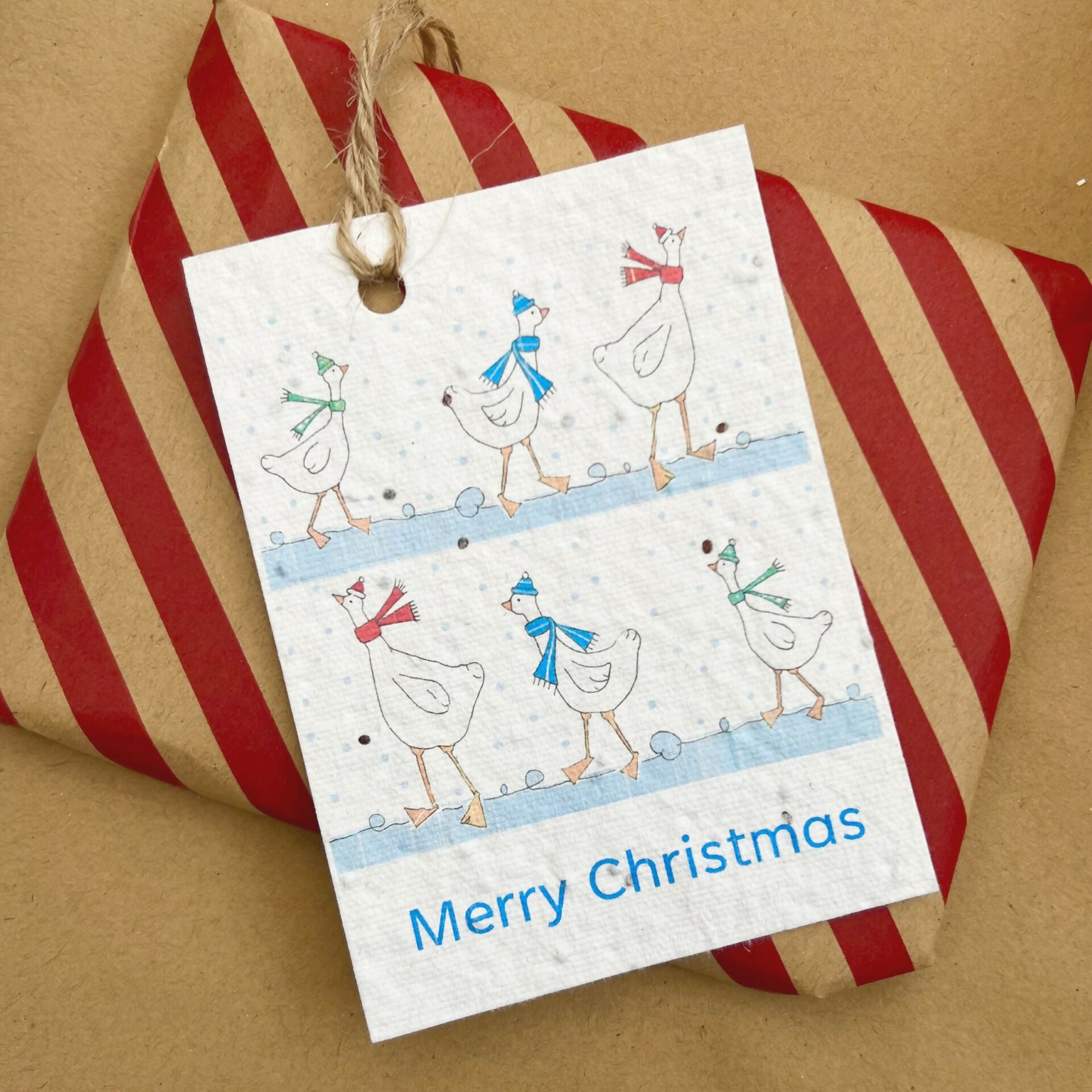 Christmas Seed Gift Tags -Festive Geese