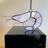 Stained Glass Shrimp/Prawn