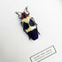 Banded Jewel Beetle (Chrysochroa buqueti) Handmade Box Frame
