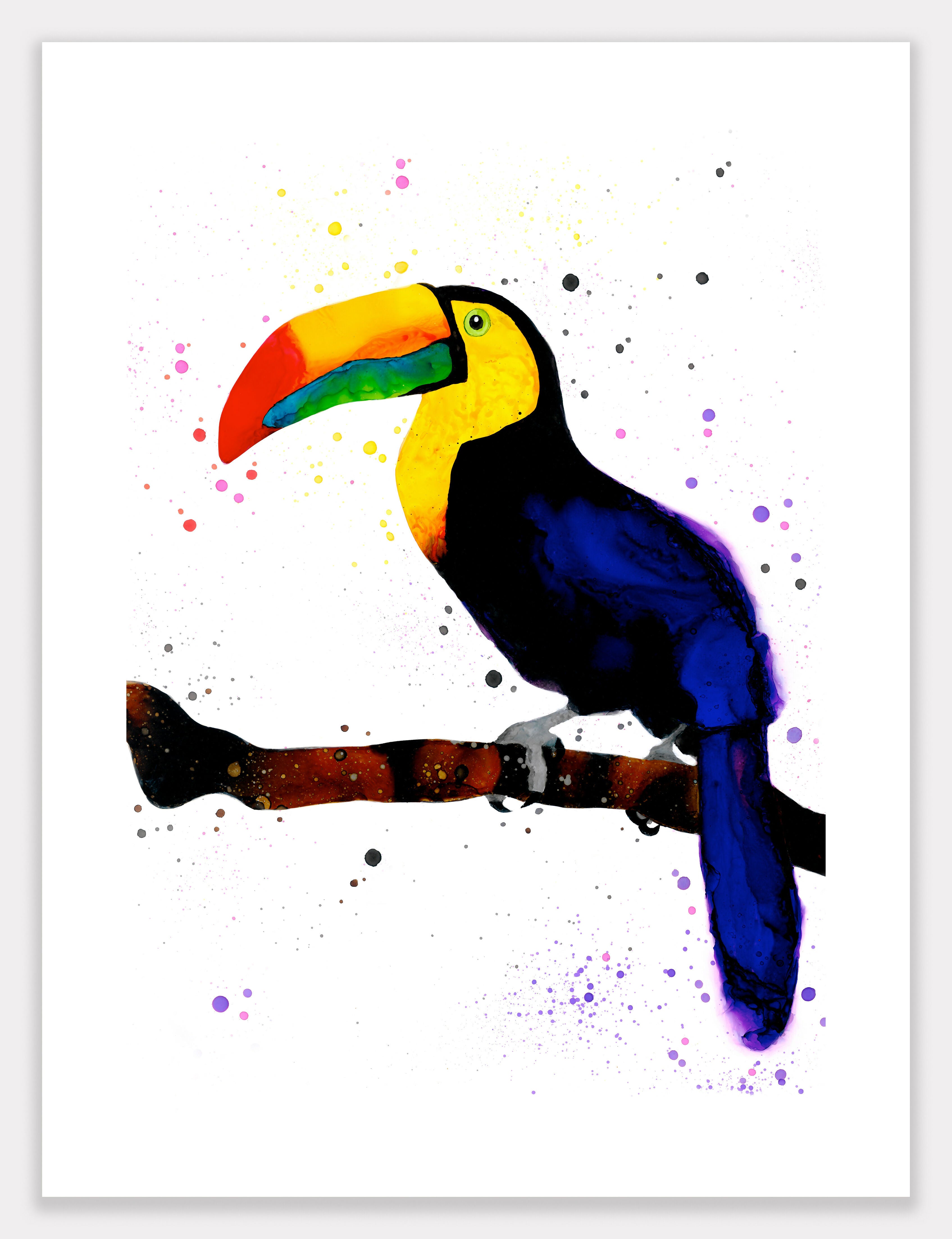 Toucan (Tuka) Print