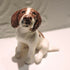 Ceramic Springer Spaniel dog sculpture, Liver and white