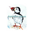 LE PETIT CAPORAL THE PUFFIN, PART OF THE 'ANIMAL ART COLLECTION'