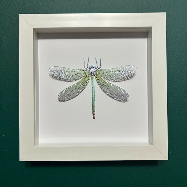 Stunning Faux Paper Dragonfly In A White Box Frame