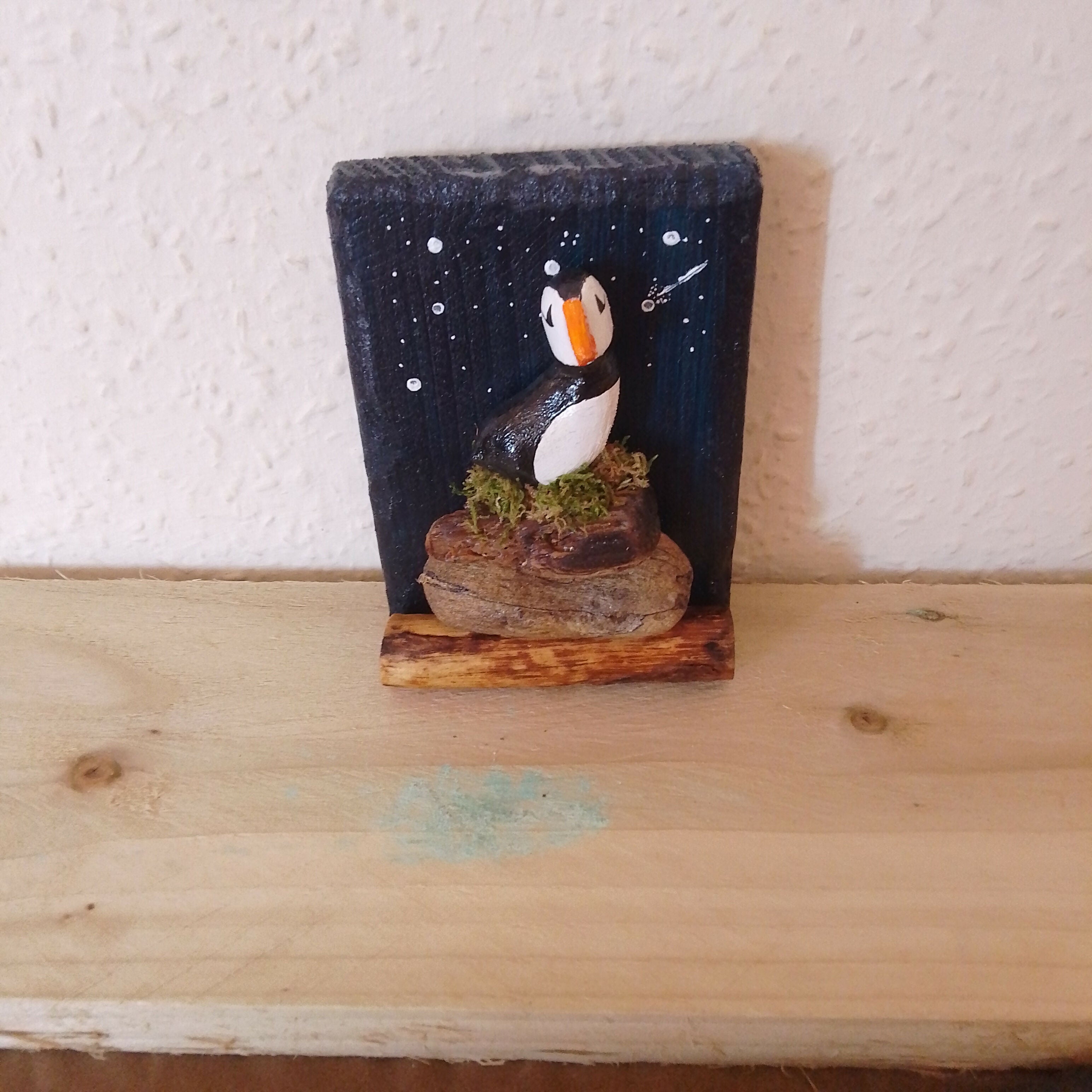 Single Puffin Night Picture