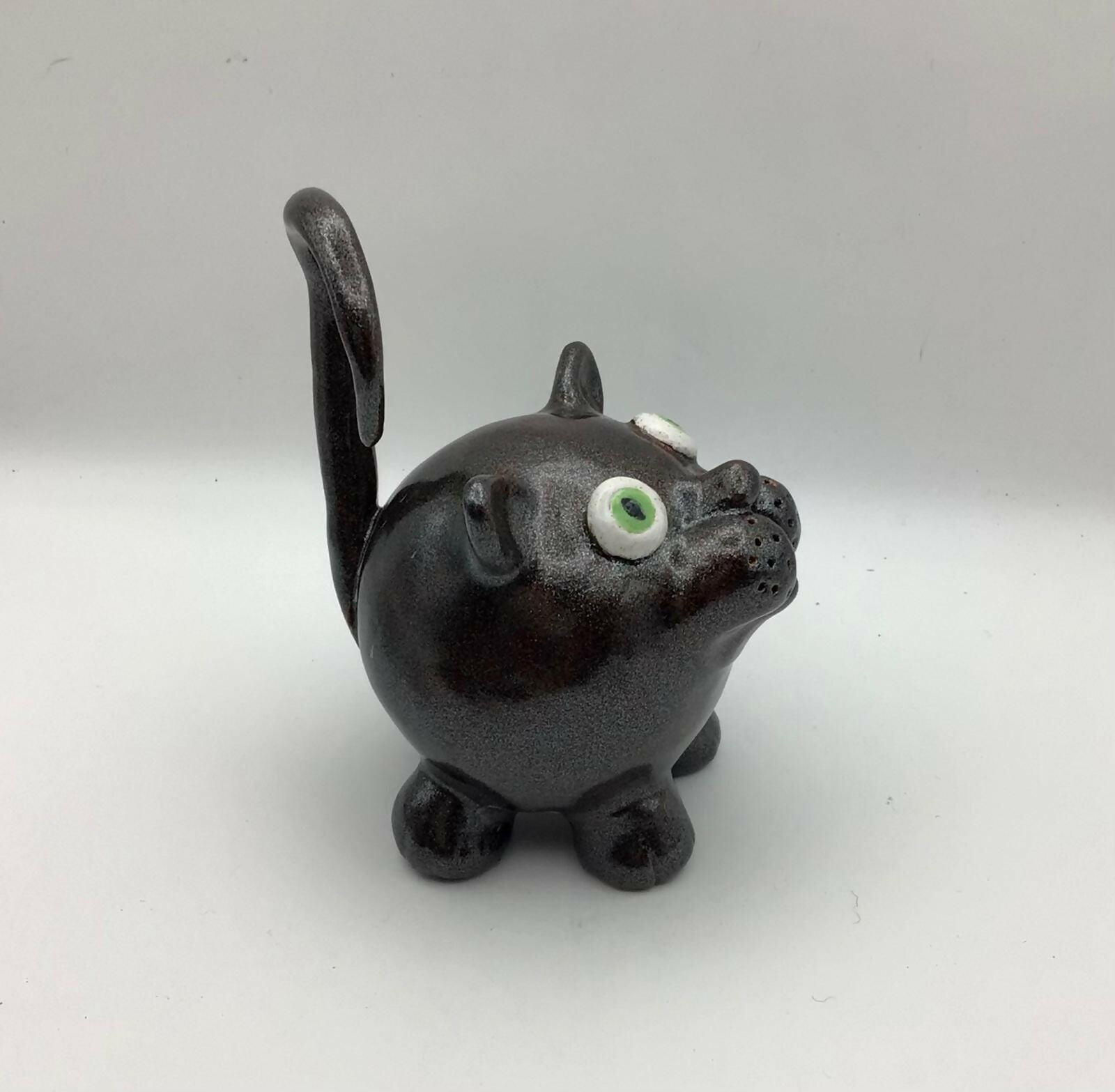 Curious Comet Cat